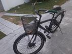 Hybrid Bicycle