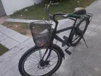 Hybrid Bicycle