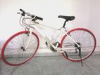 Hybrid Bicycle