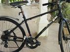 Hybrid bicycle