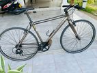 Hybrid Golds Bicycle