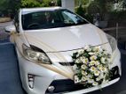 Toyota Hybrid Wedding Car for Hire