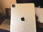Apple Ipad Pro ( 11 Inch ) with Pencil