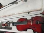 Violin