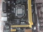 Asus H81 Motherboard