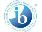IB Maths Revision Online / Home Visit