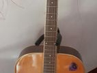 IBANES Acoustic Box Guitar