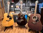 Ibanez Acoustic Electric Guitars