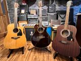 Ibanez Acoustic Electric Guitars