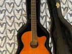 Ibanez AEG10NII Classical Electric Guitar with Hard Case