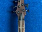 Ibanez Bass Guitar