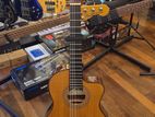 Ibanez GA Series GA5TCE Thinline Classical Acoustic-Electric Guitar