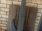 Ibanez GSR206 6 String Bass Guitar