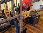 Ibanez SDGR SSR625 Bass 5 Strings Bartolini Mk1 Pickups