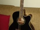 Ibaneze Semi Acoustic Guitar