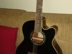 Ibaneze Semi Acoustic Guitar