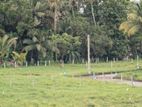 ඉබ්බාගමුව බස් පාරට