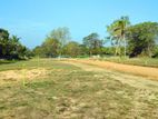 Ibbagamuwa, Maeliya Land for Sale 12p