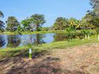 Ibbagamuwa, Maeliya - Land for Sale 16P