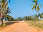 Ibbagamuwa, Maeliya Land for Sale