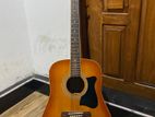 Ibanez Guitar