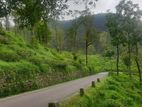 idalgashinna land for sale