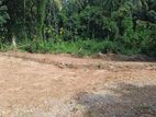 Land for Sale in Rambukkana