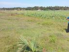 Land for Sale Ampara