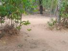 නිවස සහ ඉඩම කන්තලේ