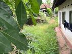 ඉඩම සමඟ නිවස විකිණීමට හොන්නන්තර, පිළියන්දල