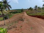 ඉඩම - වැලිපැන්න