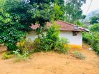 ඉඩම විකිනීමට Panangala, Bandarawela