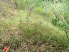 Land for Sale - Kappetipola