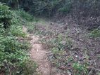 ඉඩම විකිණීම - මොනරාගල