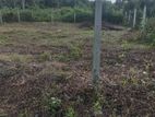 Land for Sale - Denipitiya