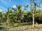 ඉඩම් විකිණීමට කුරුණෑගල අනුරාධපුර පාර - අඹගස්වැව