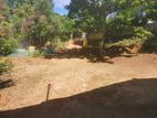 ඉඩමක් හා කුඩා නිවසක් / land and small house for sale – වැලිමඩ