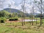 ඉඩමක් Horana