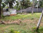 ඉඩමක් - කිරිඳිවැල