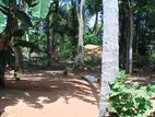 නිවසක් විකිණීමට ඇත ගලෙන්බිඳුණුවැව