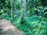 Land with House for Sale in Bendaluwa, Parakaduwa