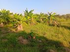 Land for Sale in Puttalam