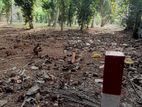 Land for Sale in Minuwangoda