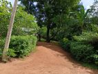 Land For Sale In Nochchiyagama