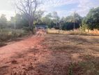 Land for Sale Anuradhapura