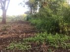 Land for Sale තණමල්විල