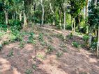 ඉඩමක් විකිනීමට නුවර