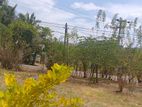 ඉඩමක් විකිණීම මහියංගනය