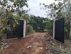 Land for Sale in Panadura