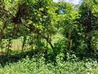 Land for Sale in Ingiriya